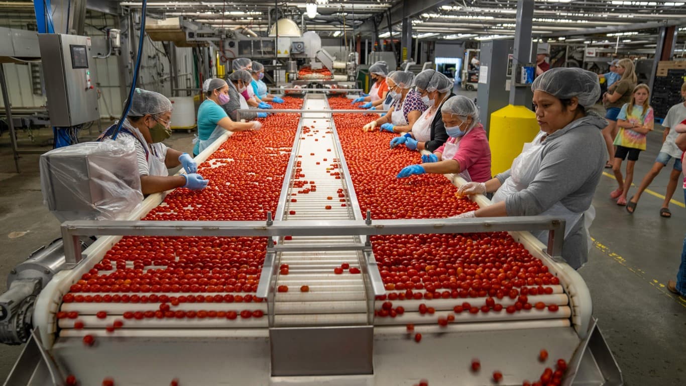 Powered Roller Conveyor